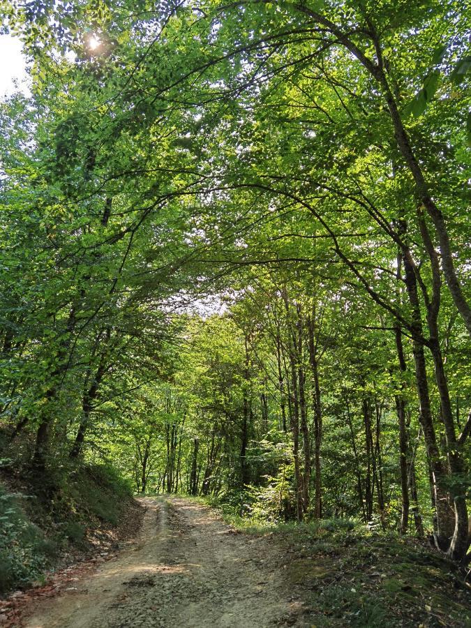 Les Hauts De Grazac, Chambres Et Tables D'Hotes Grazac  Екстериор снимка